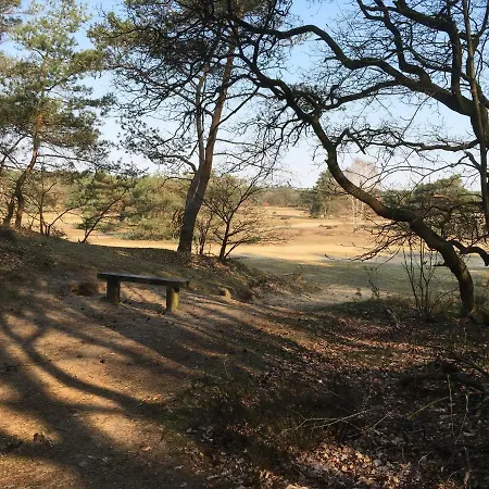 Semesterbostad Vlinder *