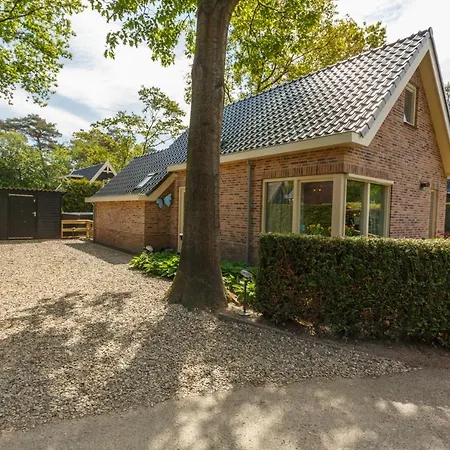 Vlinder אוטרלו