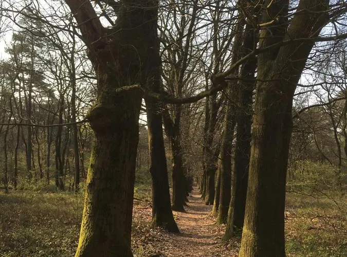 Vlinder בית נופש אוטרלו